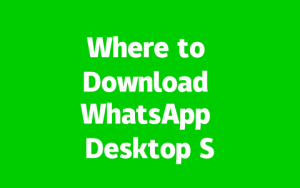 29afaf77704eb69f54ea359cb9d506e0