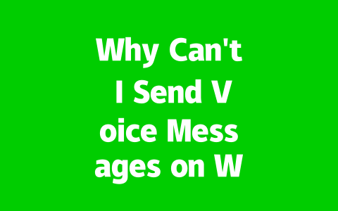 Why Can’t I Send Voice Messages on WhatsApp 2025? Easy Fixes