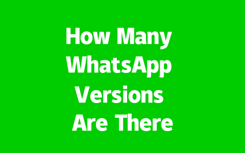How Many WhatsApp Versions Are There 2025 Update?