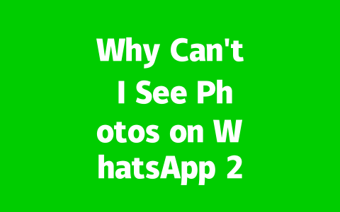Why Can't I See Photos on WhatsApp 2025? Quick Fixes To Know 2 71121509ecdba09b299177b432c2190d
