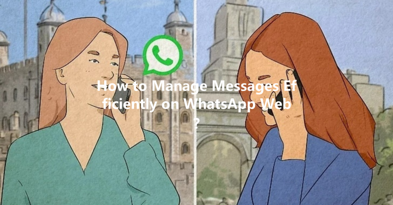 How to Manage Messages Efficiently on WhatsApp Web? 三