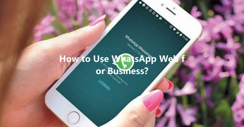 How to Use WhatsApp Web for Business? 三