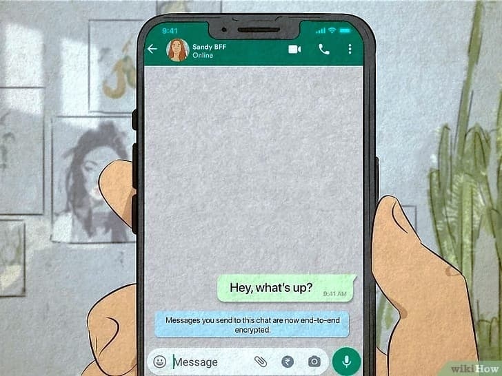 WhatsApp网页版登录不了怎么办 2 WhatsApp网页版登录不了怎么办 二
